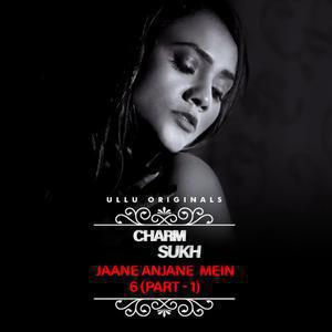 Charmsukh – Jane Anjane Mein 6 Part 1 Charmsukh – Jane Anjane Mein 6 Part 1